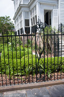 Charleston Wrought Iron